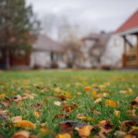 charming village house standing on tranquil site in front of lawn adorned with fallen autumn leaves on cloudy day. - garden decoration stock pictures, royalty-free photos & images