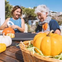 chatting and smiling women preparing halloween decoration - garden decoration stock pictures, royalty-free photos & images