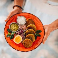 chef offers his prepared falafel plate - food stock pictures, royalty-free photos & images