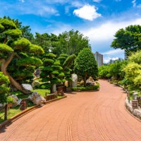 chi lin nunnery is a large buddhist temple complex located in diamond hill, kowloon, hong kong. - garden decoration stock pictures, royalty-free photos & images