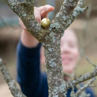 child in backyard, found chocolate egg on tree - garden decoration stock pictures, royalty-free photos & images