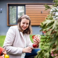 christmas decoration - garden decoration stock pictures, royalty-free photos & images