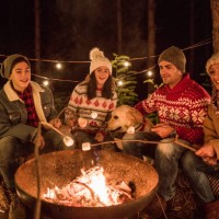 christmas is a special time for this family - garden decoration stock pictures, royalty-free photos & images