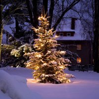 christmas is coming - garden decoration stock pictures, royalty-free photos & images