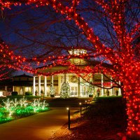 christmas lights - garden decoration stock pictures, royalty-free photos & images