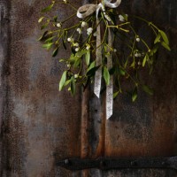 christmas mistletoe plant with berries tied in a bunch with a bow hanging on an old rustic door. - garden decoration stock pictures, royalty-free photos & images