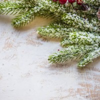 christmas time concept - garden decoration stock pictures, royalty-free photos & images