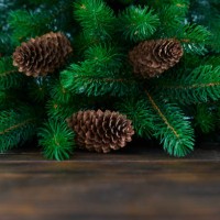 christmas tree branches on wooden textured table - home decoration stock pictures, royalty-free photos & images