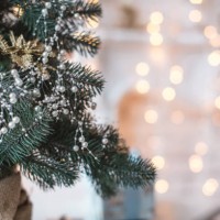 christmas tree close-up with pearl ornaments and bokeh lights - home decoration stock pictures, royalty-free photos & images