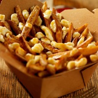 classic french canadian poutine - junk food stock pictures, royalty-free photos & images
