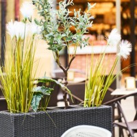 close-up front view of a basket with plants and tables outside a building with no people around. - garden decoration stock pictures, royalty-free photos & images