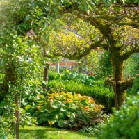 close-up image of a living structure apple tree archway in an english garden with soft sunshine - garden decoration stock pictures, royalty-free photos & images