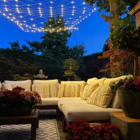 close-up image of outdoor lounging area at night illuminated by string fairy lights, hardwood seating with cushions, wooden table top with flowering plant centrepiece, bonsai trees, japanese maples, landscaped oriental design