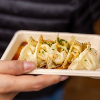 close-up of a woman holding a plate of delicious steaming gyoza dumplings - junk food stock pictures, royalty-free photos & images