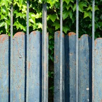 close-up of an old metal door covered with wild and climbing plants in evian-les-bains, haute-savoie, france - garden decoration stock pictures, royalty-free photos & images