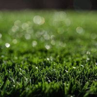 close-up of artificial grass - garden decoration stock pictures, royalty-free photos & images