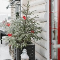 close-up of decorations on a christmas tree outside a house on a snowy winter day, belarus - garden decoration stock pictures, royalty-free photos & images