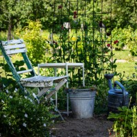 close-up of empty chair and table in yard - garden decoration photos et images de collection