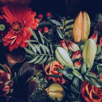 close-up of flowers bouquet - garden decoration stock pictures, royalty-free photos & images