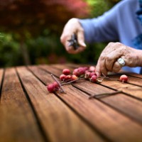 close-up of senior woman crafting with berries at garden table - garden decoration stock pictures, royalty-free photos & images
