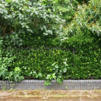 close-up of the hedge and railing of a public park in london, england, united kingdom. dirty sidewalk with weeds. sunlight. natural colors. - garden decoration stock pictures, royalty-free photos & images