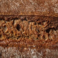 close-up of the texture of homemade bread - food stock pictures, royalty-free photos & images