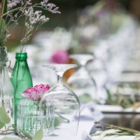 close-up of wedding table decorations. catering service. garden party, summer festival, wedding. catering. - garden decoration stock pictures, royalty-free photos & images