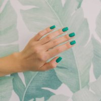 close-up of woman's hand with nail art manicure in green color. - nails art stock pictures, royalty-free photos & images