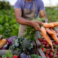 close-up on a man selling carrots at a farmer's market - food stock pictures, royalty-free photos & images