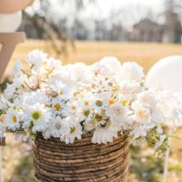 close-up shot of a beautiful flower arrangement - garden decoration stock pictures, royalty-free photos & images
