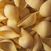 close up conchiglioni pasta - food fotografías e imágenes de stock