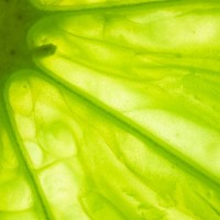 close up lime slice - food stock pictures, royalty-free photos & images