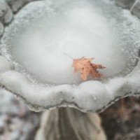 close up of a frozen birdbath - garden decoration stock pictures, royalty-free photos & images