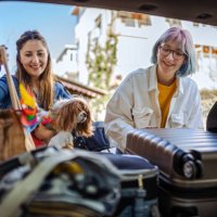 close up of a young family and their dog packing up for a road trip - travel stock pictures, royalty-free photos & images