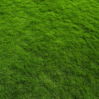 close up of immaculate grass lawn - garden decoration stock pictures, royalty-free photos & images