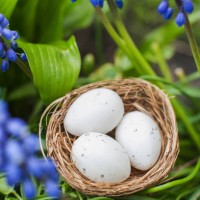 close up of muscaria flowers and nest with easter eggs on green spring background. blue wild hyacinths - garden decoration stock pictures, royalty-free photos & images