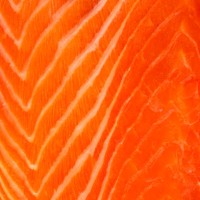 close up of raw salmon meat, studio shot - food stock pictures, royalty-free photos & images