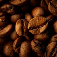 close up roasted coffee beans with dramatic light and copy space - coffee stock pictures, royalty-free photos & images