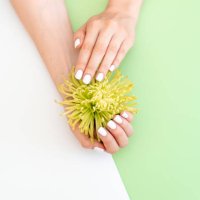 closeup view of woman with flower on color background. spa treatment - nails art stock pictures, royalty-free photos & images