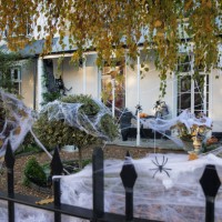 Cobwebs and other decorations are arranged around a garden to mark Halloween on 31 October 2020 in Windsor, United Kingdom. Halloween celebrations,...