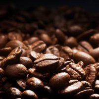 coffee beans - coffee stockfoto's en -beelden