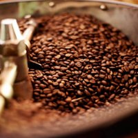 coffee beans, machine and factory with ingredient for roast, product, export or quality assurance. empty, top view and manufacturing with equipment for premium espresso, caffeine or fresh blend - coffee stock pictures, royalt