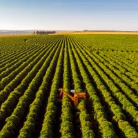 coffee combine harvester - coffee stock pictures, royalty-free photos & images