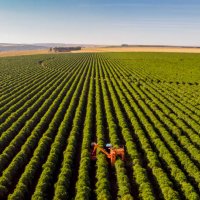 coffee combine harvester - coffee stockfoto's en -beelden