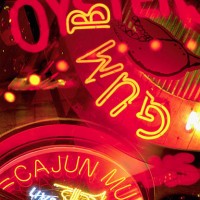 collage of cajun culture signs - food photos et images de collection