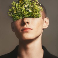 collage with male portrait and flowers - fashion stock pictures, royalty-free photos & images