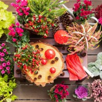 collection of autumn flowers and decorations - garden decoration stock pictures, royalty-free photos & images