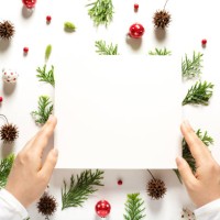 collection of christmas plants top view - garden decoration stock pictures, royalty-free photos & images