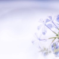 color of nature - garden decoration stock pictures, royalty-free photos & images