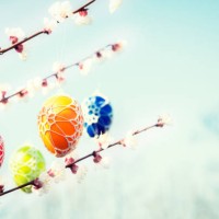 colorful easter eggs hanging from a blossoming apple tree - garden decoration stock pictures, royalty-free photos & images